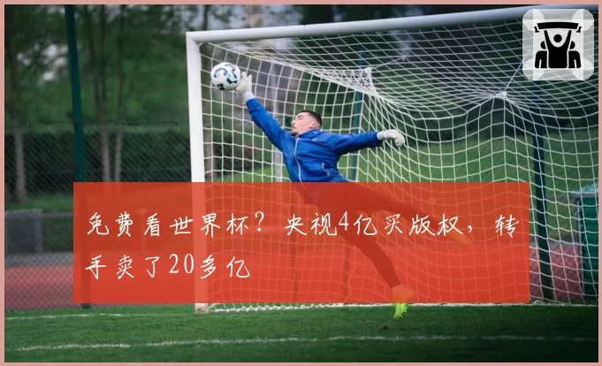 免费看世界杯?央视4亿买版权,转手卖了20多亿