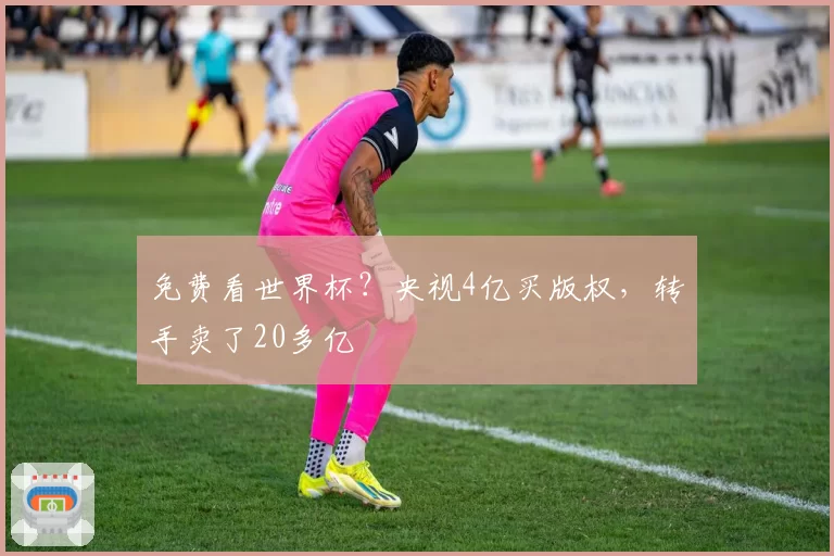 免费看世界杯?央视4亿买版权,转手卖了20多亿